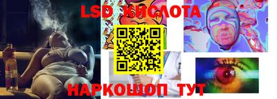 шишки Кандалакша