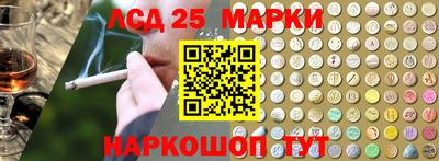 шишки Кандалакша