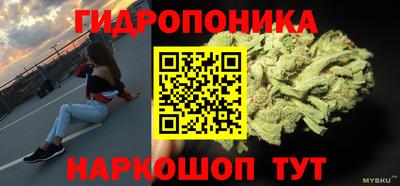 шишки Кандалакша