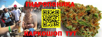 шишки Кандалакша