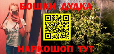 шишки Кандалакша