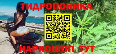 шишки Кандалакша