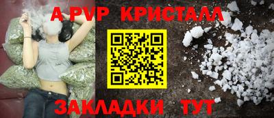 шишки Кандалакша