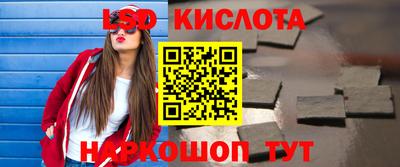 шишки Кандалакша