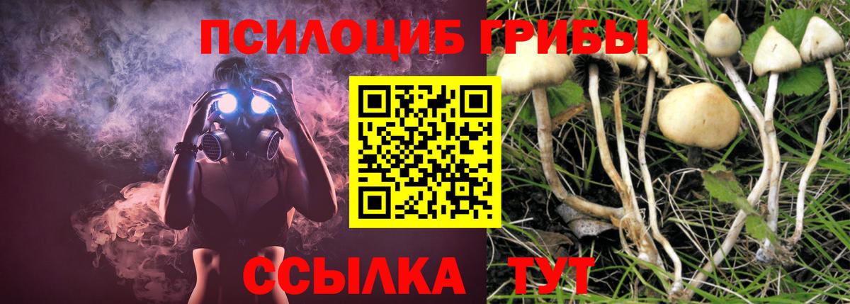 Псилоцибиновые грибы MAGIC MUSHROOMS  Вход с VPN  Псилоцибиновые грибы ЛСД  Кунгур 